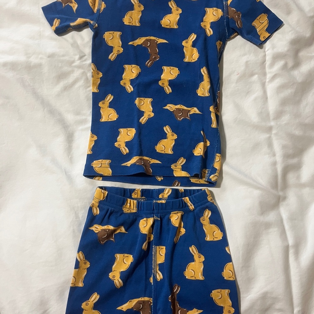 Hanna Andersson Blue Pajama Set with Bunny Design- Easter